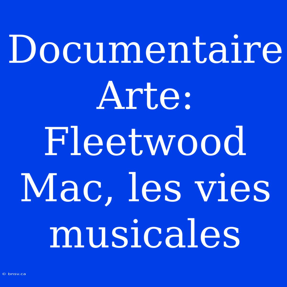 Documentaire Arte: Fleetwood Mac, Les Vies Musicales