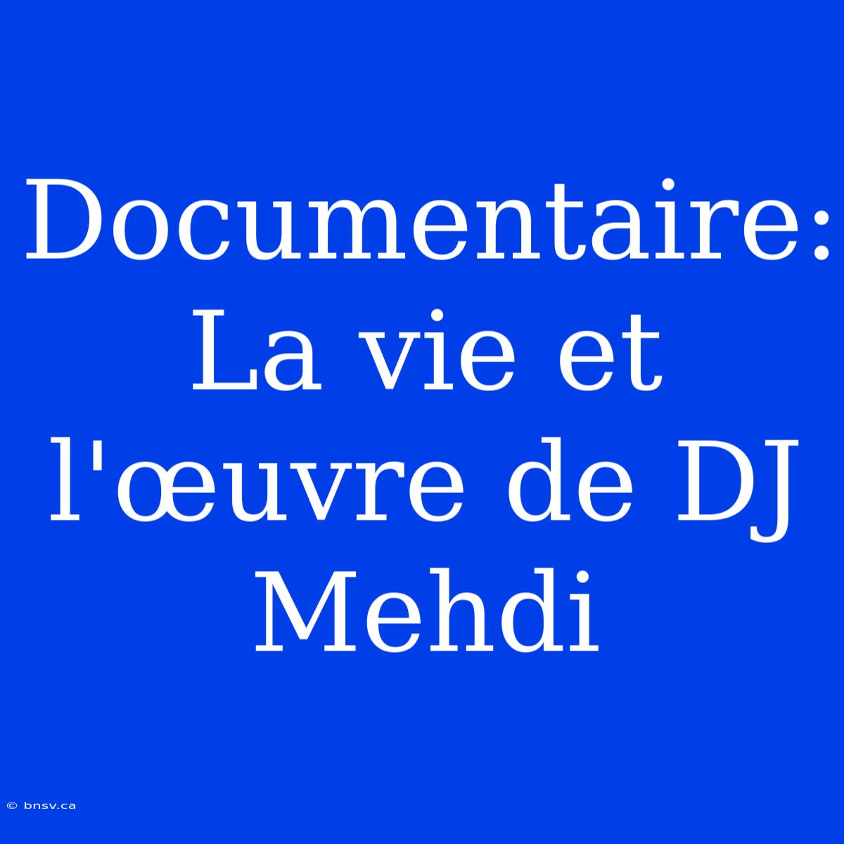 Documentaire: La Vie Et L'œuvre De DJ Mehdi