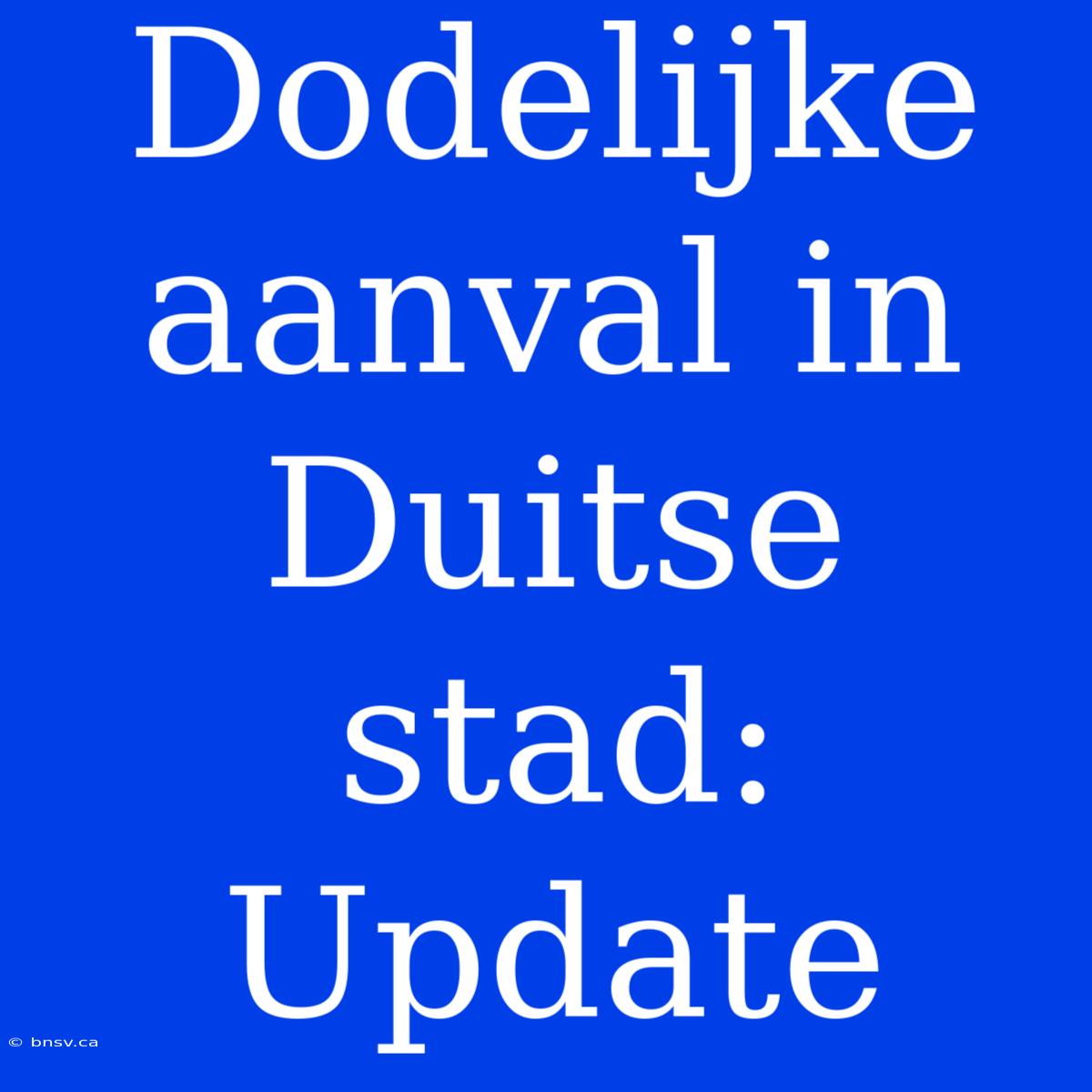 Dodelijke Aanval In Duitse Stad: Update