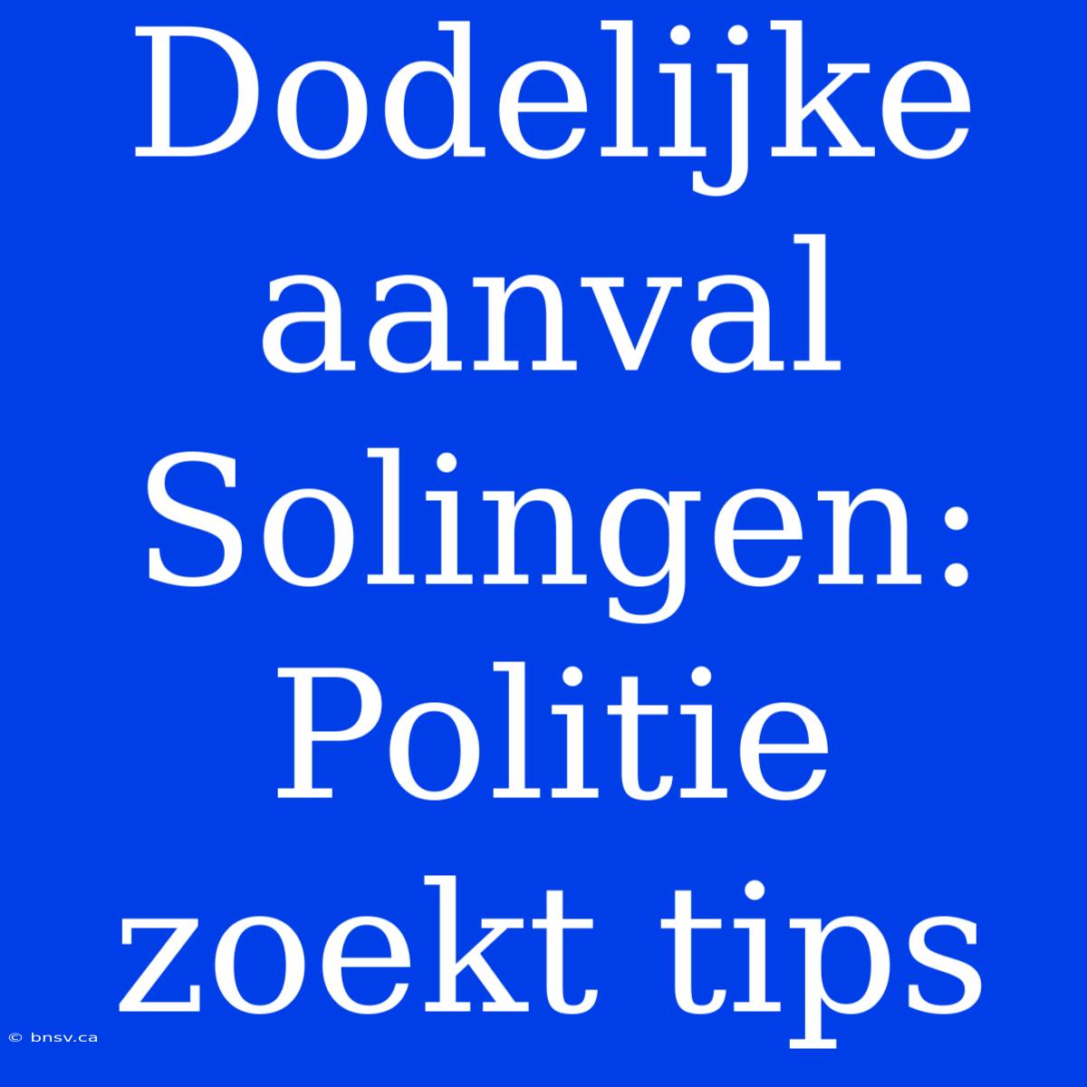 Dodelijke Aanval Solingen: Politie Zoekt Tips