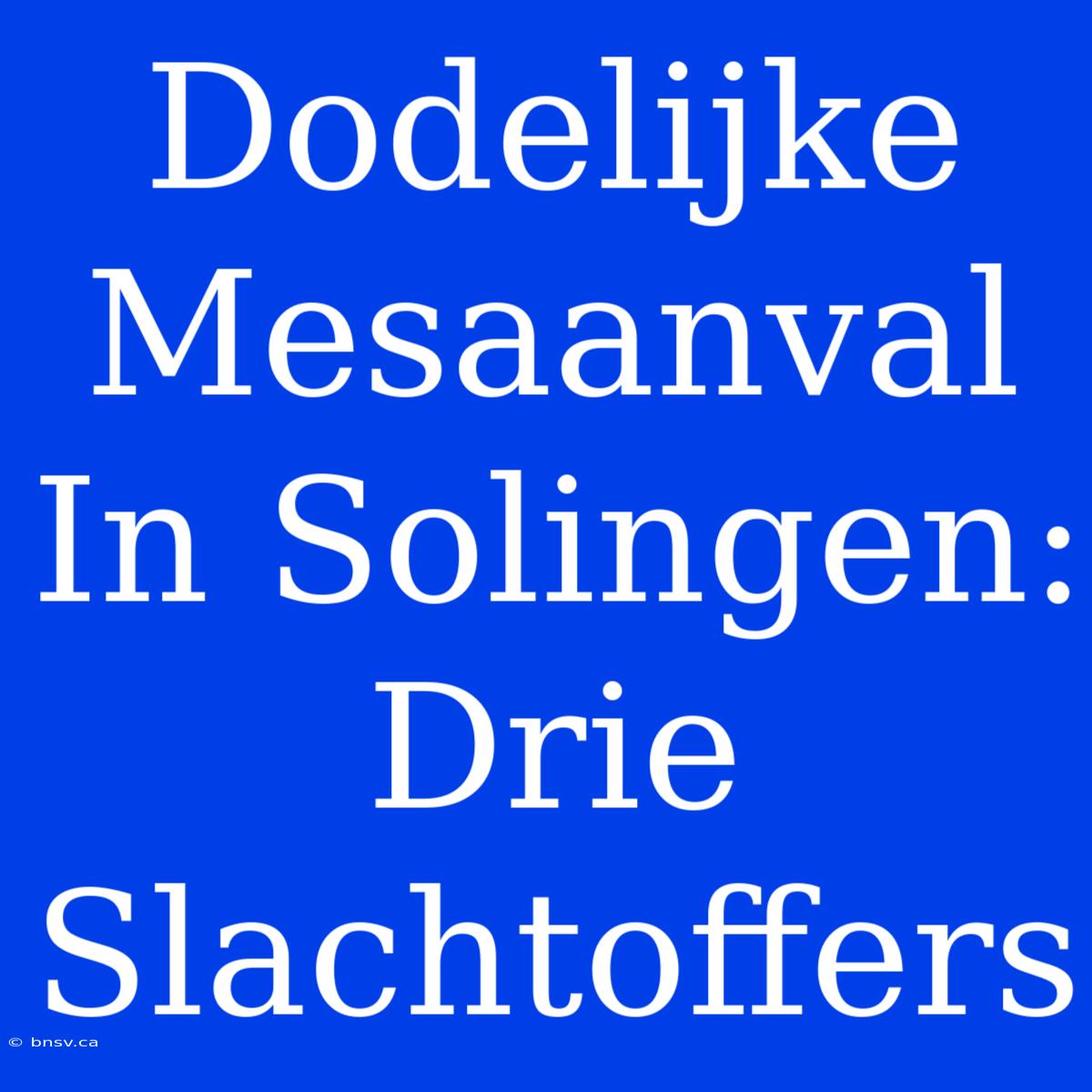 Dodelijke Mesaanval In Solingen: Drie Slachtoffers