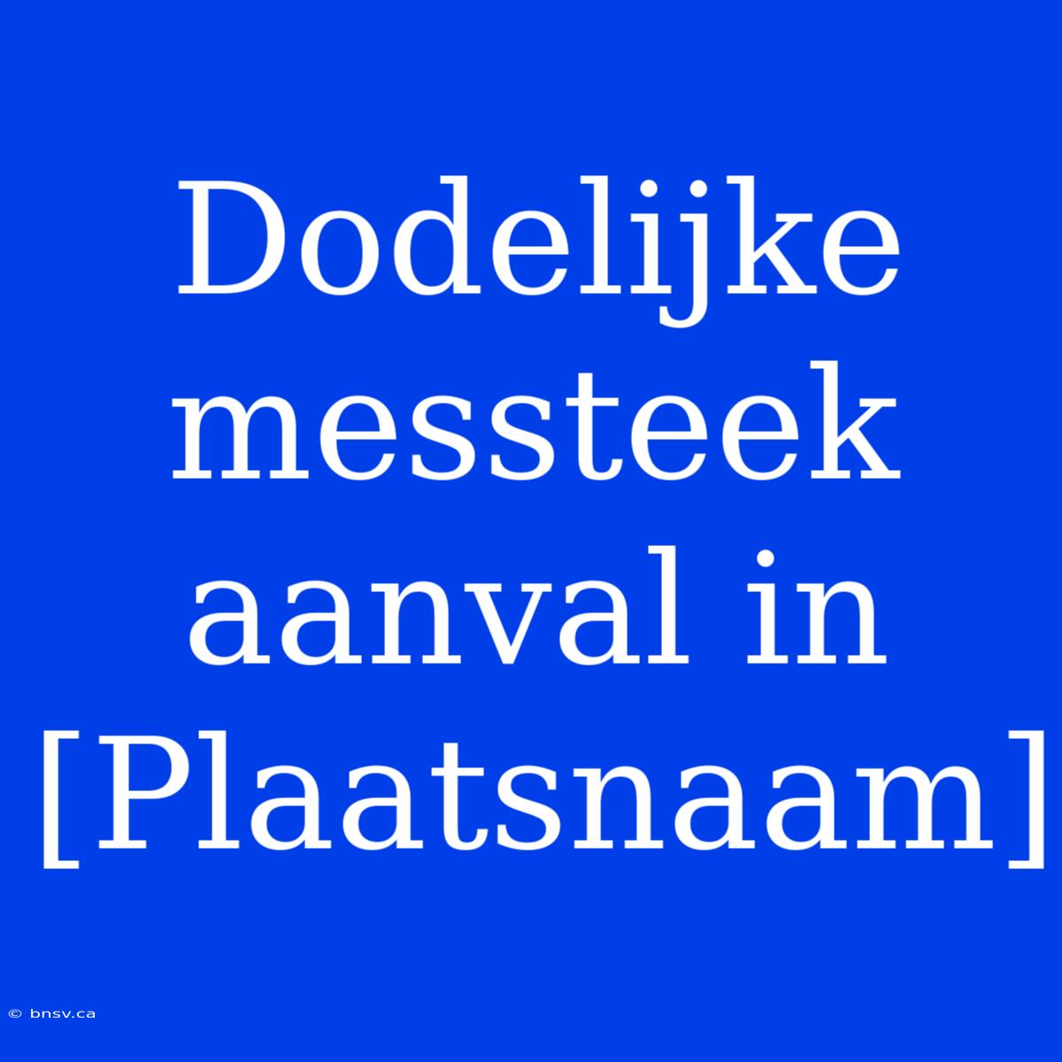 Dodelijke Messteek Aanval In [Plaatsnaam]