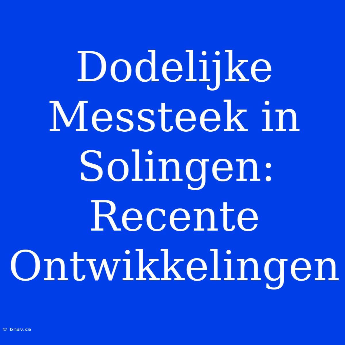 Dodelijke Messteek In Solingen: Recente Ontwikkelingen