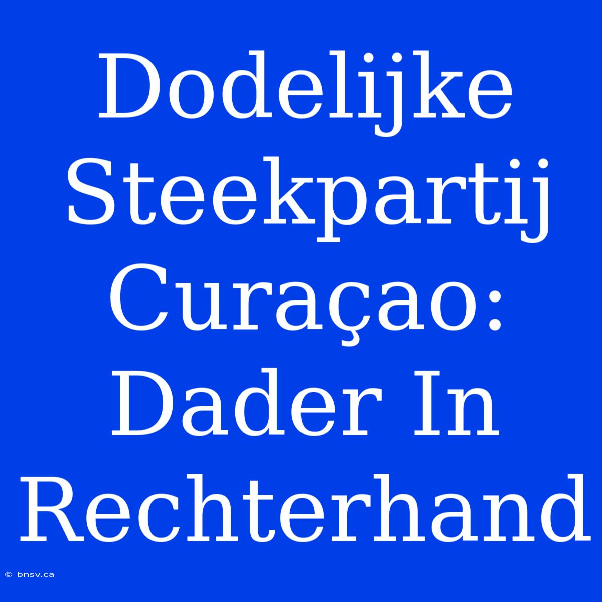 Dodelijke Steekpartij Curaçao: Dader In Rechterhand