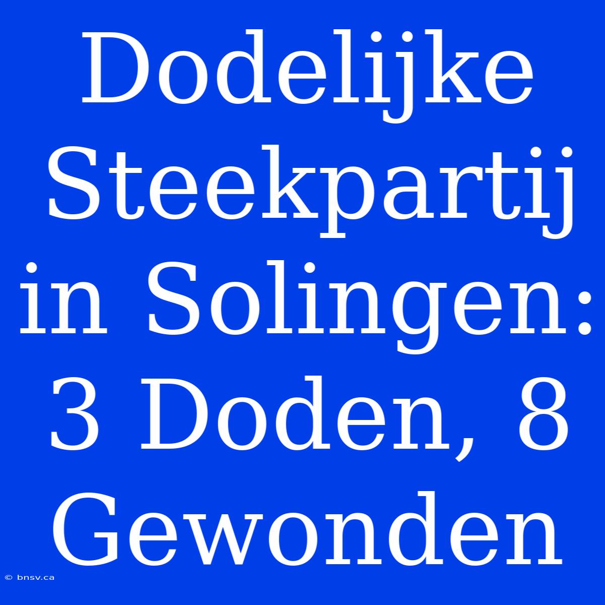 Dodelijke Steekpartij In Solingen: 3 Doden, 8 Gewonden