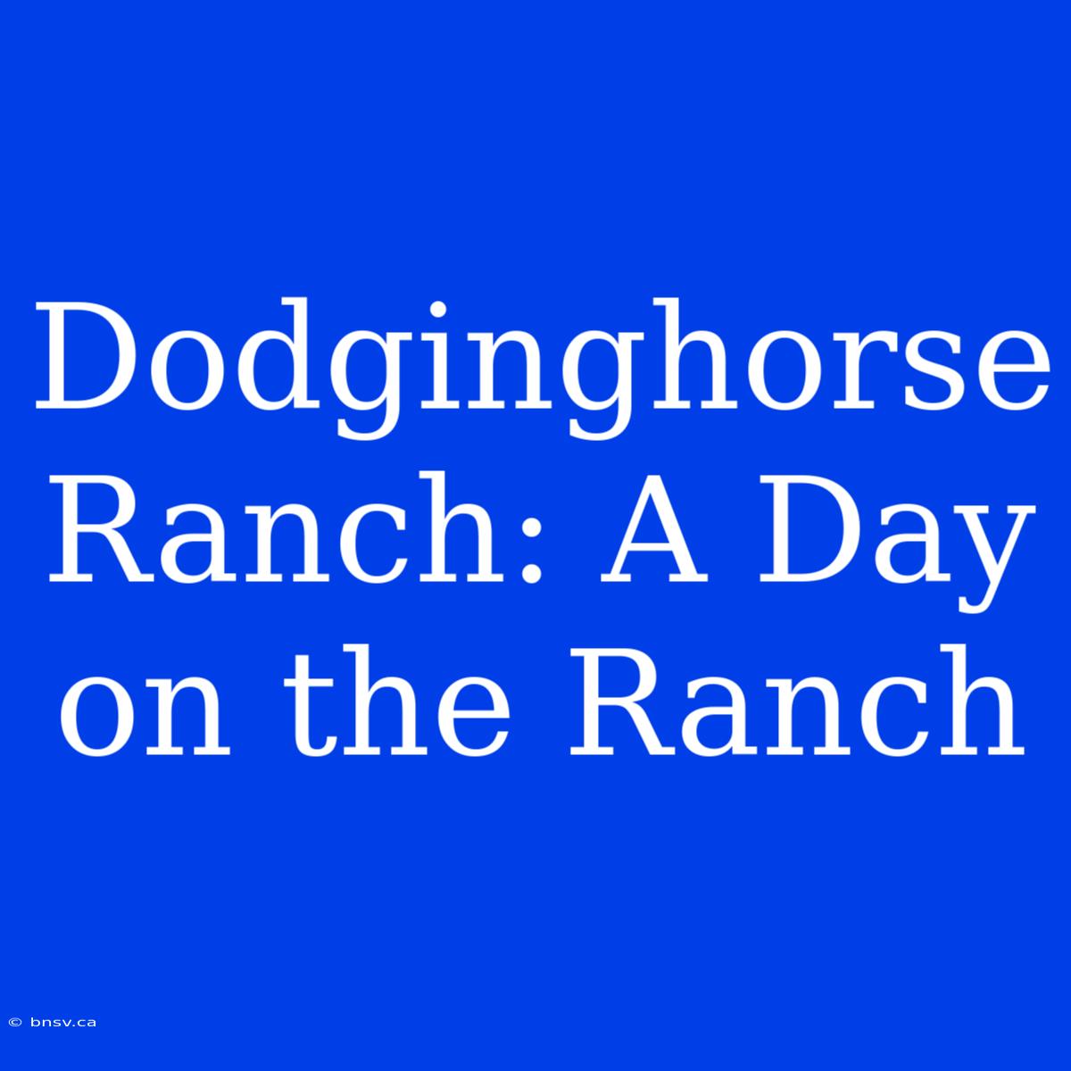 Dodginghorse Ranch: A Day On The Ranch