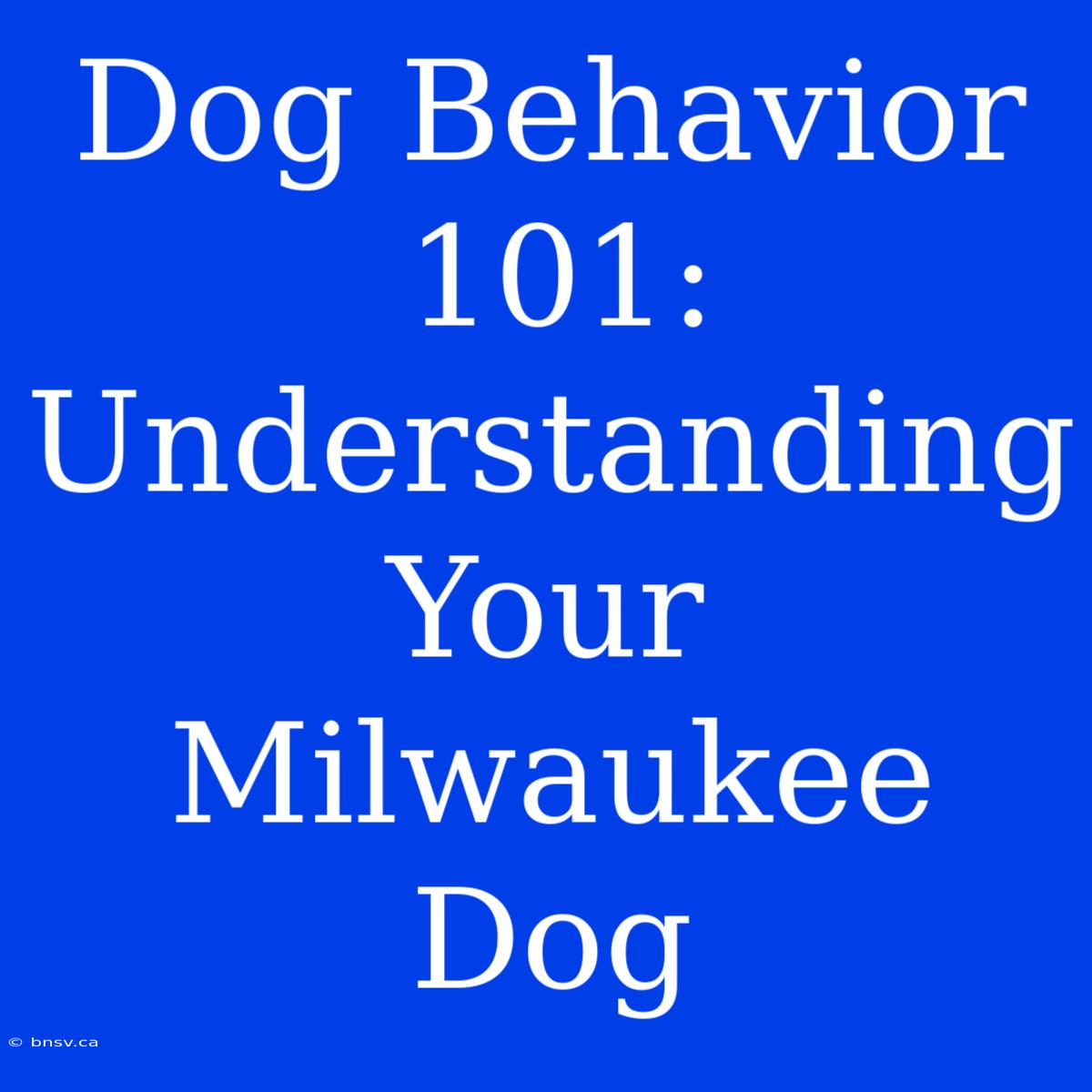 Dog Behavior 101: Understanding Your Milwaukee Dog