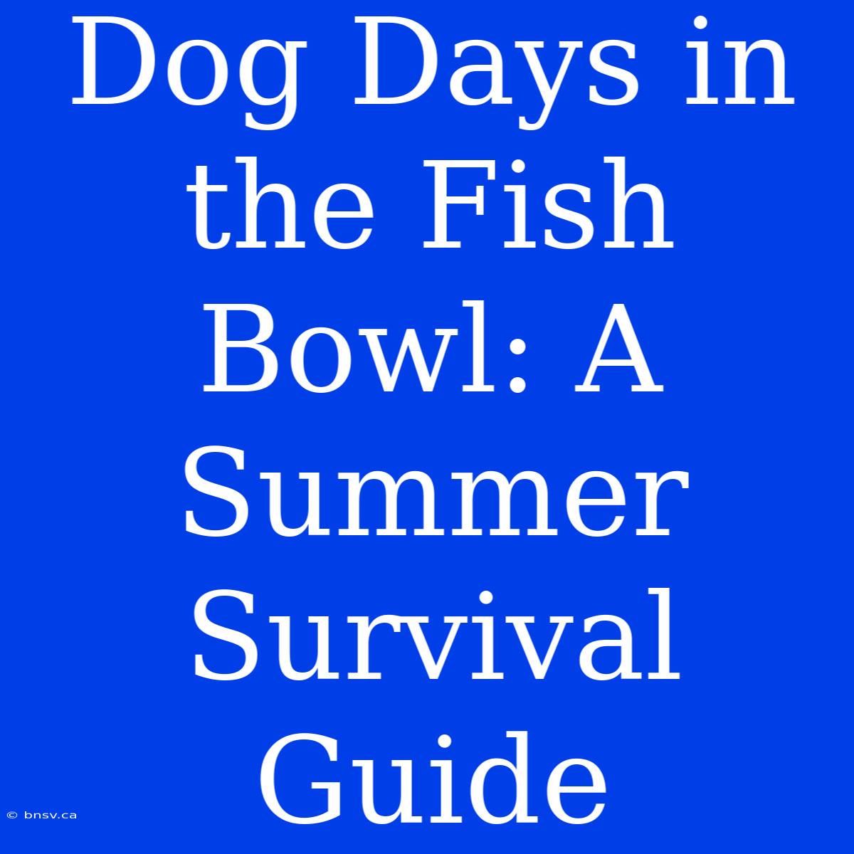 Dog Days In The Fish Bowl: A Summer Survival Guide