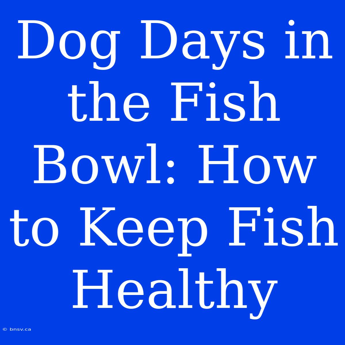 Dog Days In The Fish Bowl: How To Keep Fish Healthy