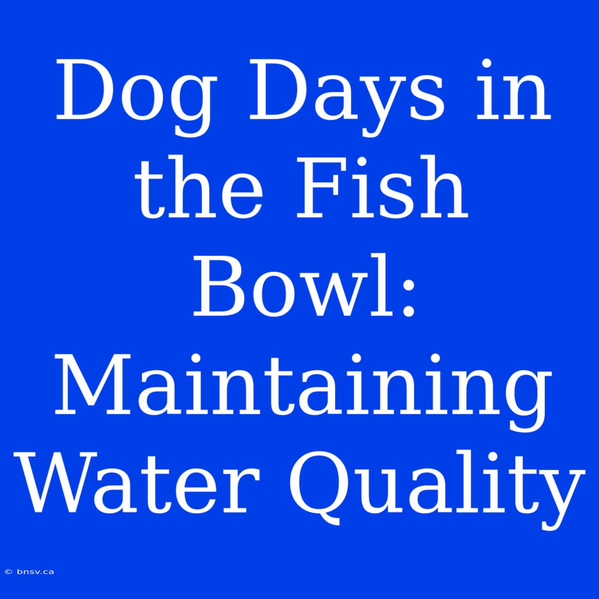 Dog Days In The Fish Bowl: Maintaining Water Quality