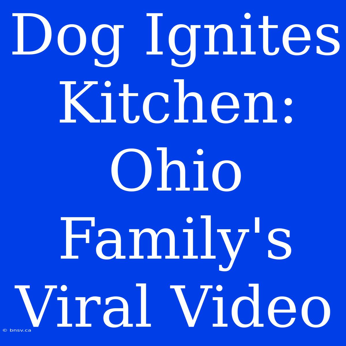 Dog Ignites Kitchen: Ohio Family's Viral Video