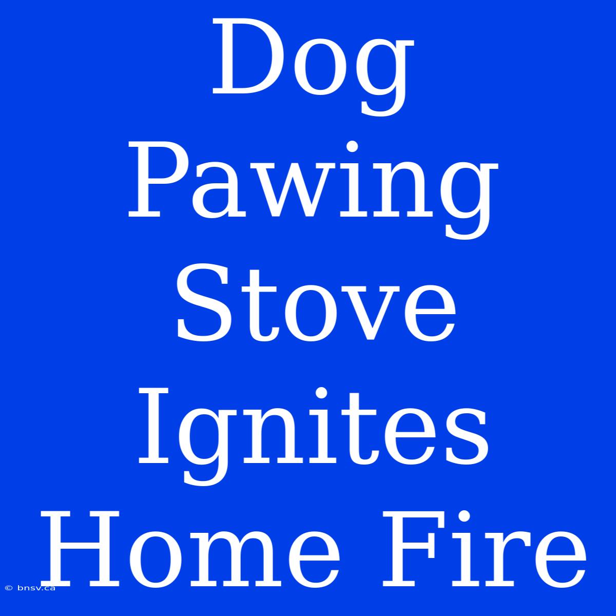 Dog Pawing Stove Ignites Home Fire