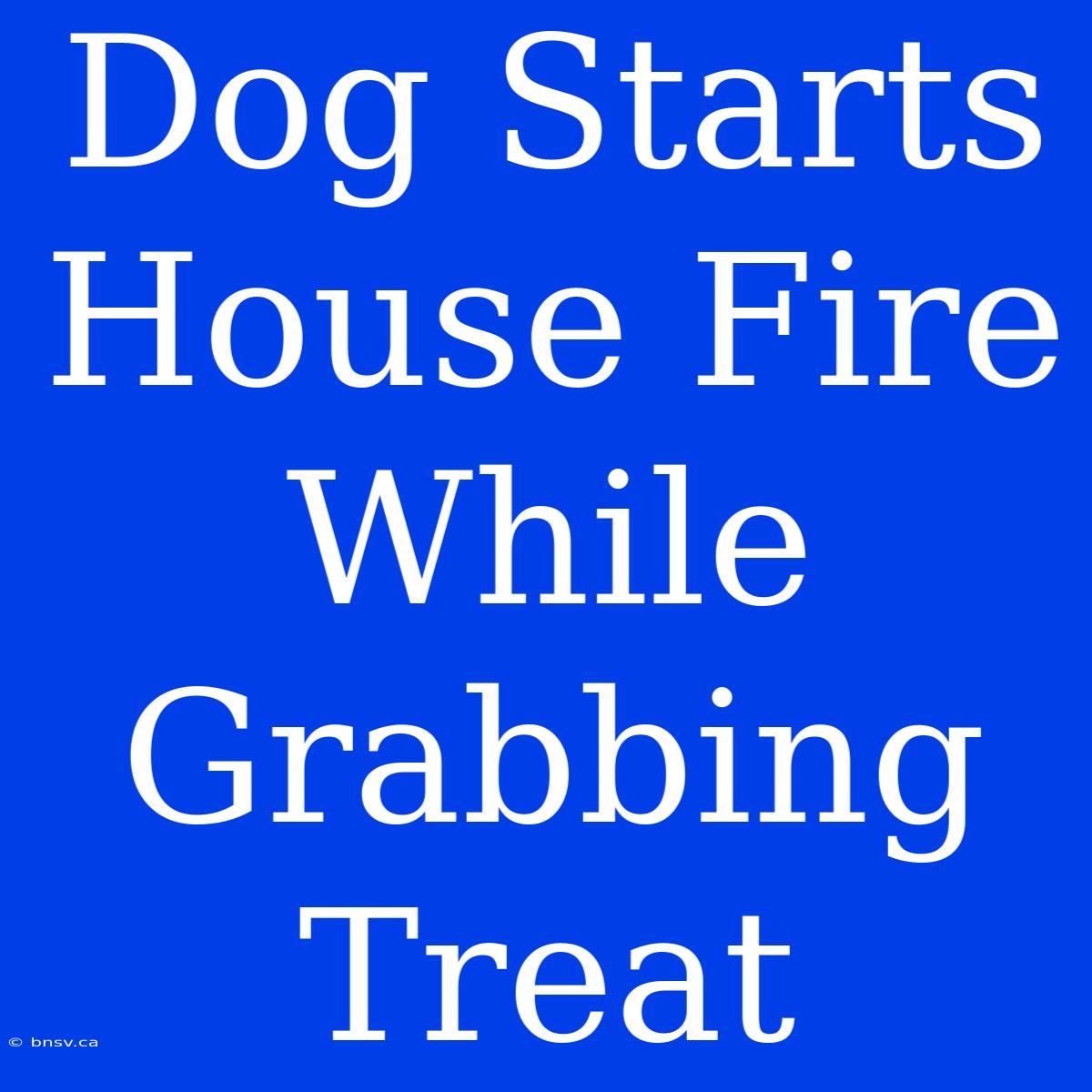 Dog Starts House Fire While Grabbing Treat