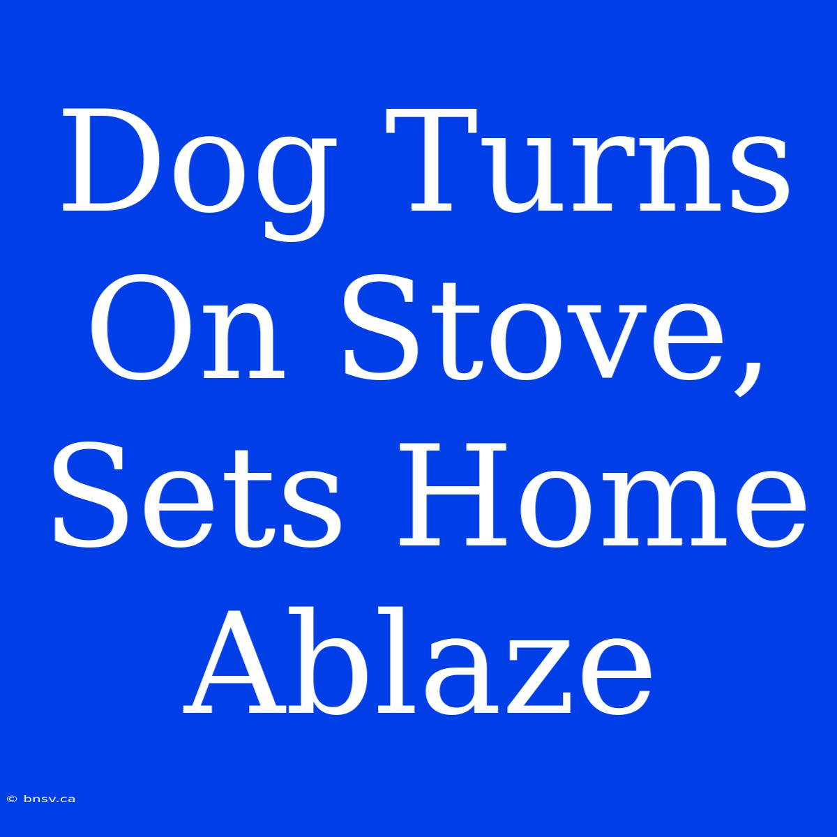 Dog Turns On Stove, Sets Home Ablaze