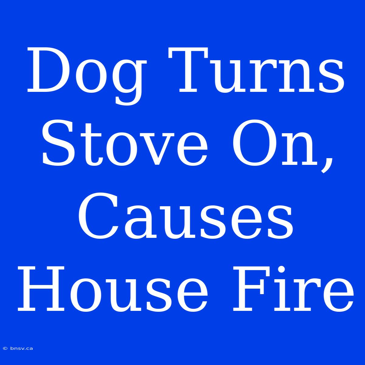 Dog Turns Stove On, Causes House Fire