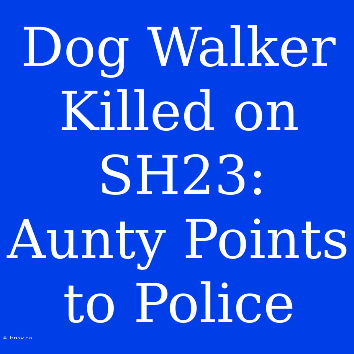 Dog Walker Killed On SH23: Aunty Points To Police