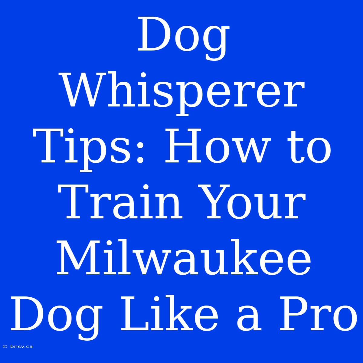 Dog Whisperer Tips: How To Train Your Milwaukee Dog Like A Pro