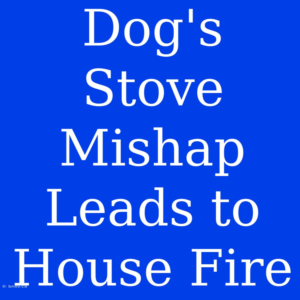 Dog's Stove Mishap Leads To House Fire