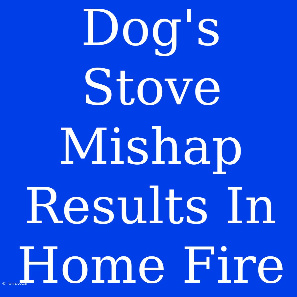 Dog's Stove Mishap Results In Home Fire