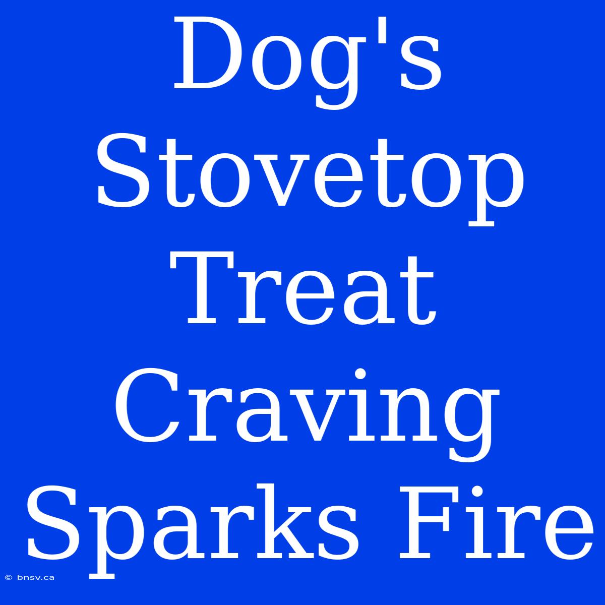 Dog's Stovetop Treat Craving Sparks Fire