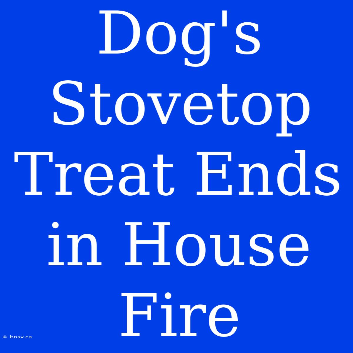 Dog's Stovetop Treat Ends In House Fire