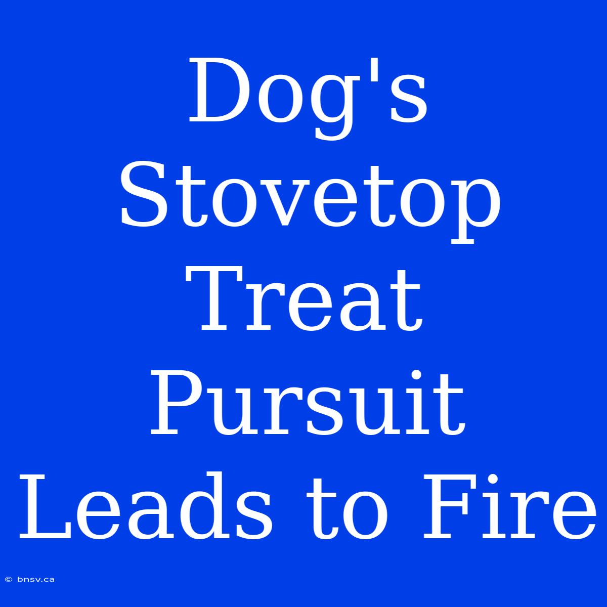 Dog's Stovetop Treat Pursuit Leads To Fire