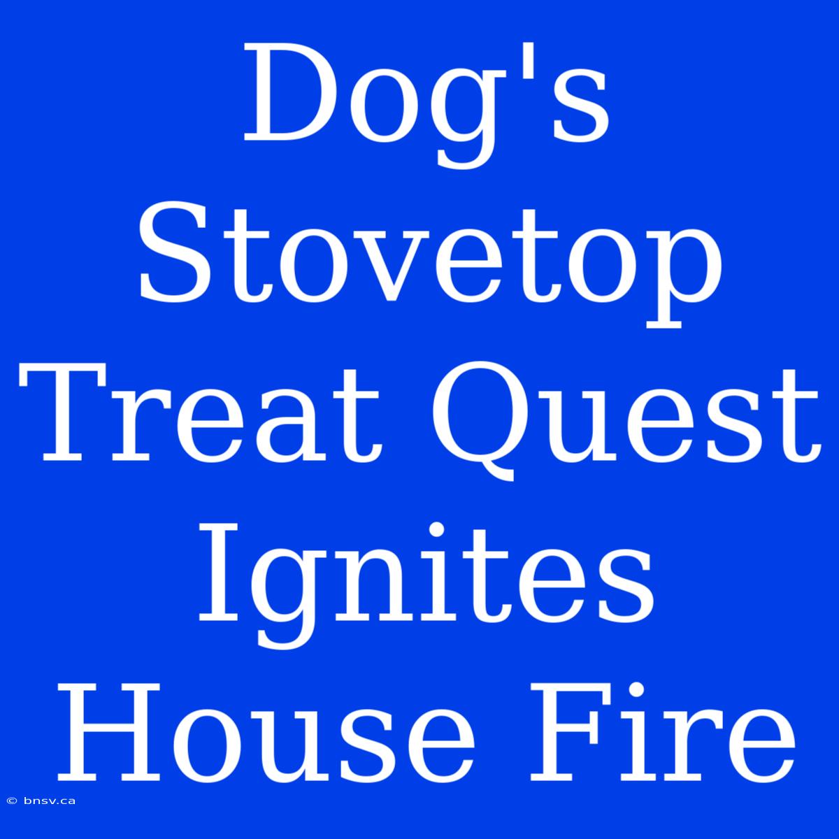 Dog's Stovetop Treat Quest Ignites House Fire