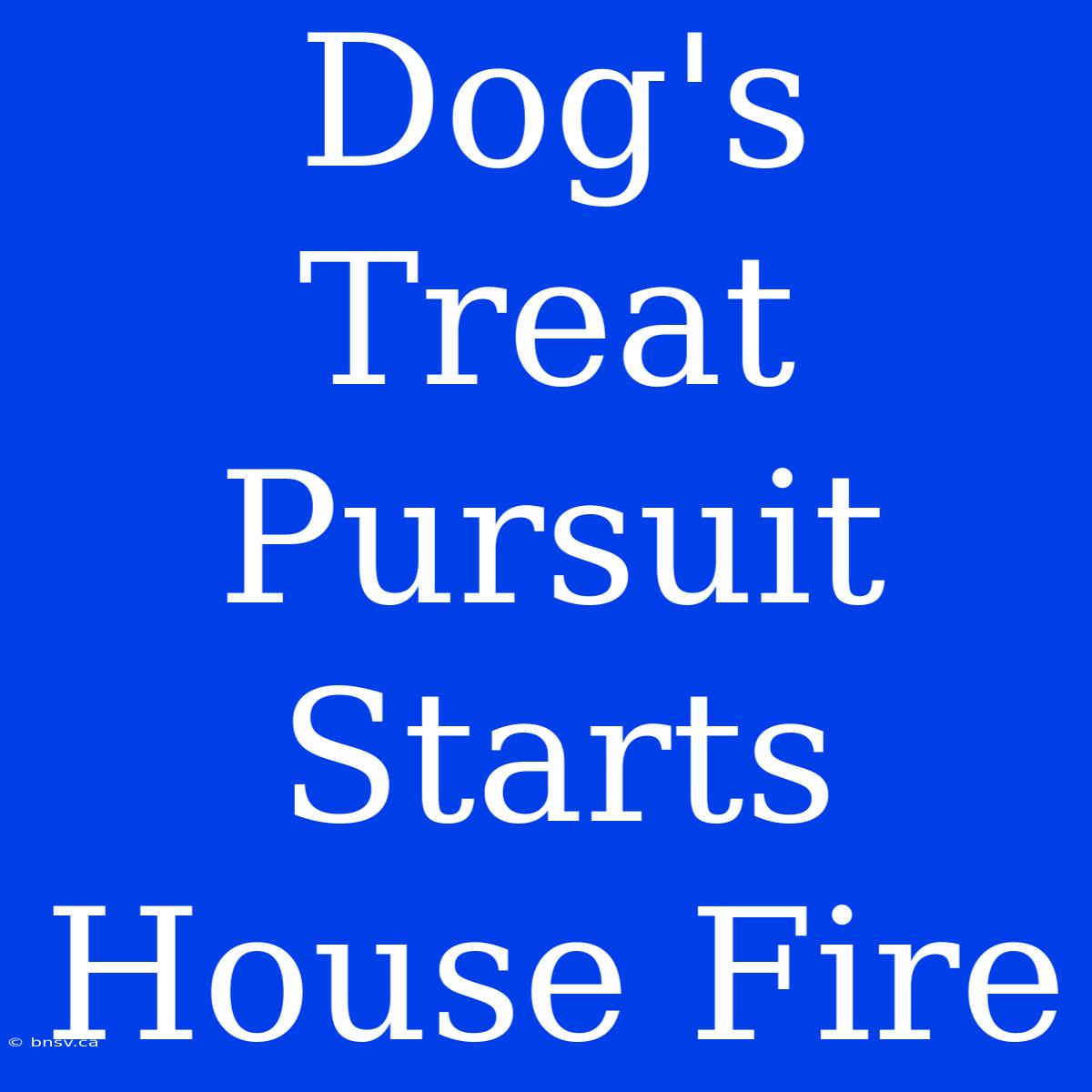 Dog's Treat Pursuit Starts House Fire