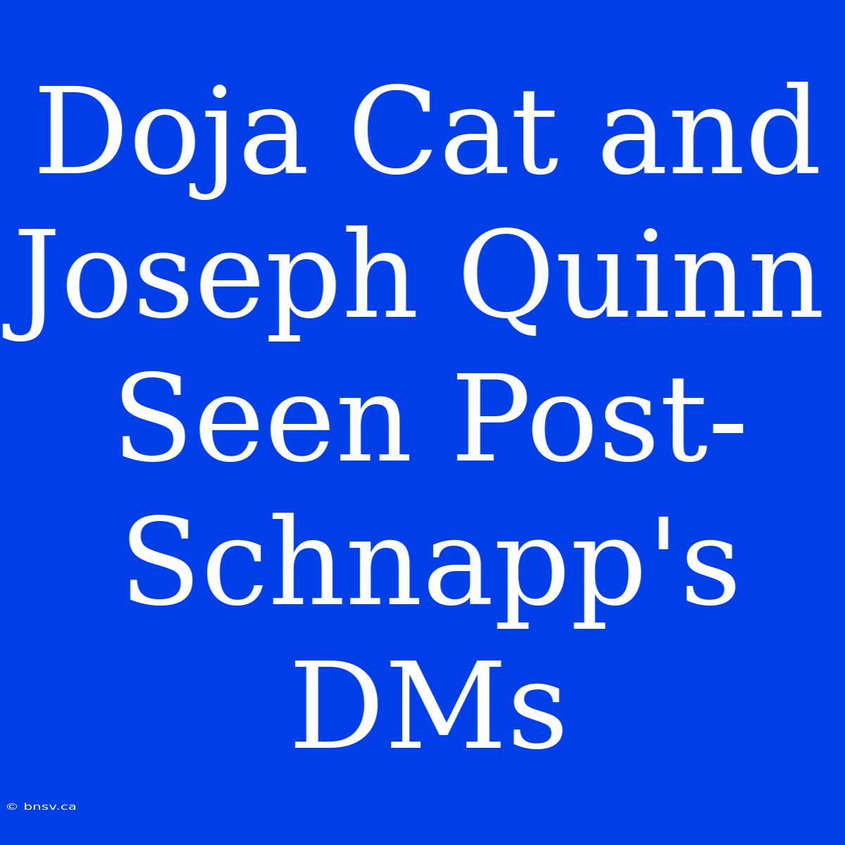 Doja Cat And Joseph Quinn Seen Post-Schnapp's DMs