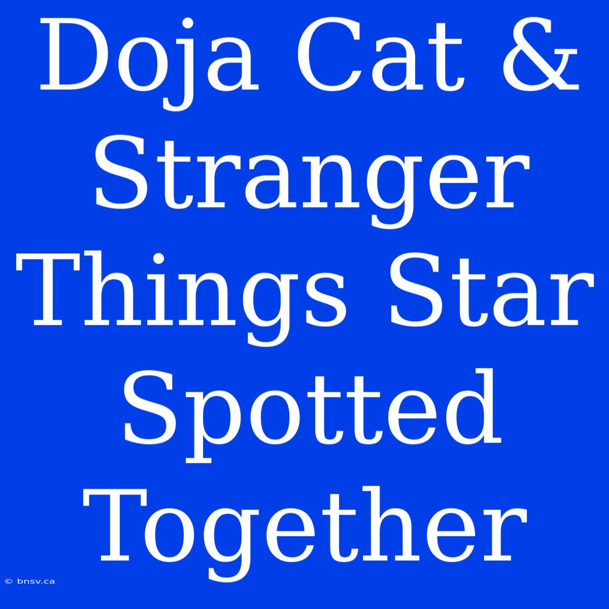 Doja Cat & Stranger Things Star Spotted Together