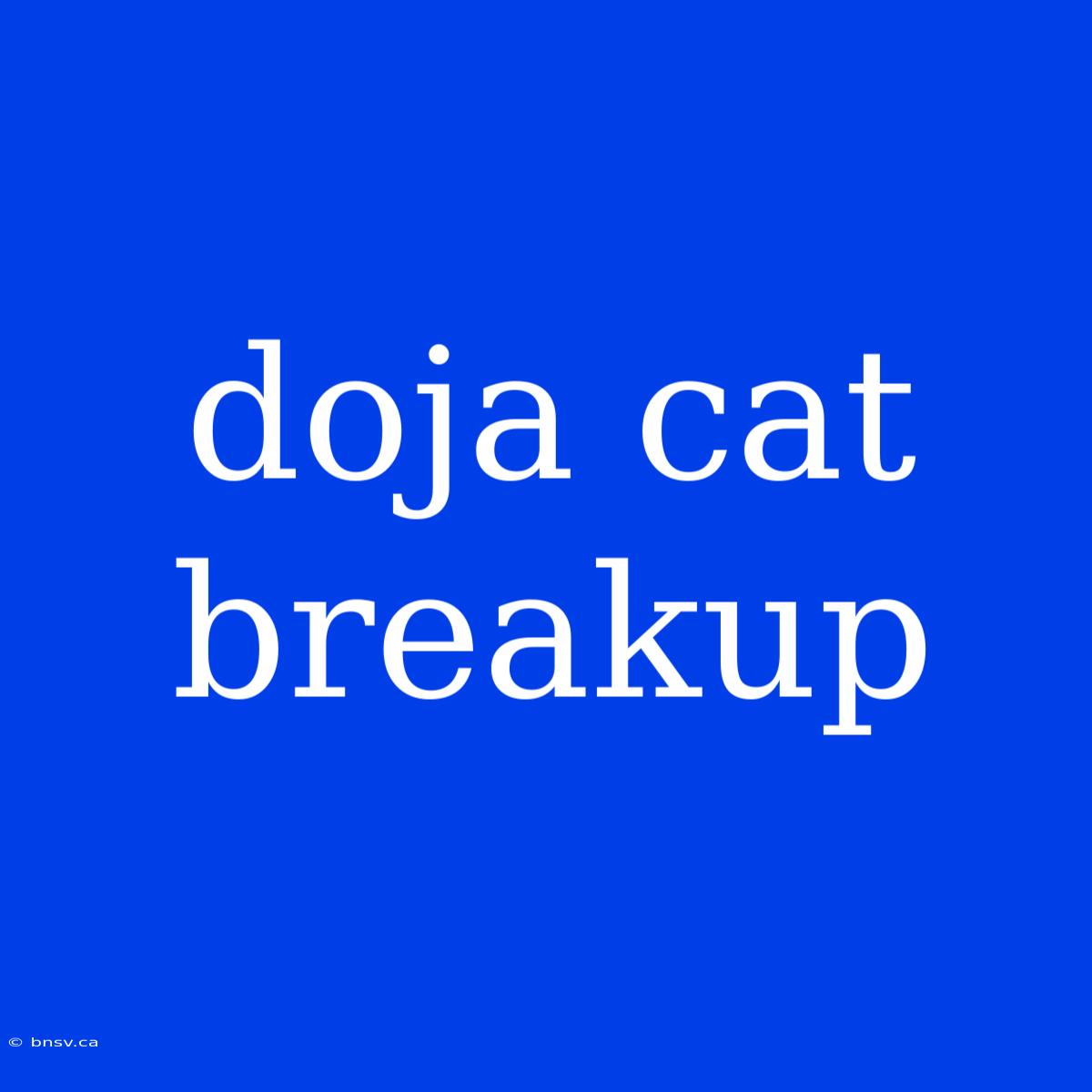 Doja Cat Breakup