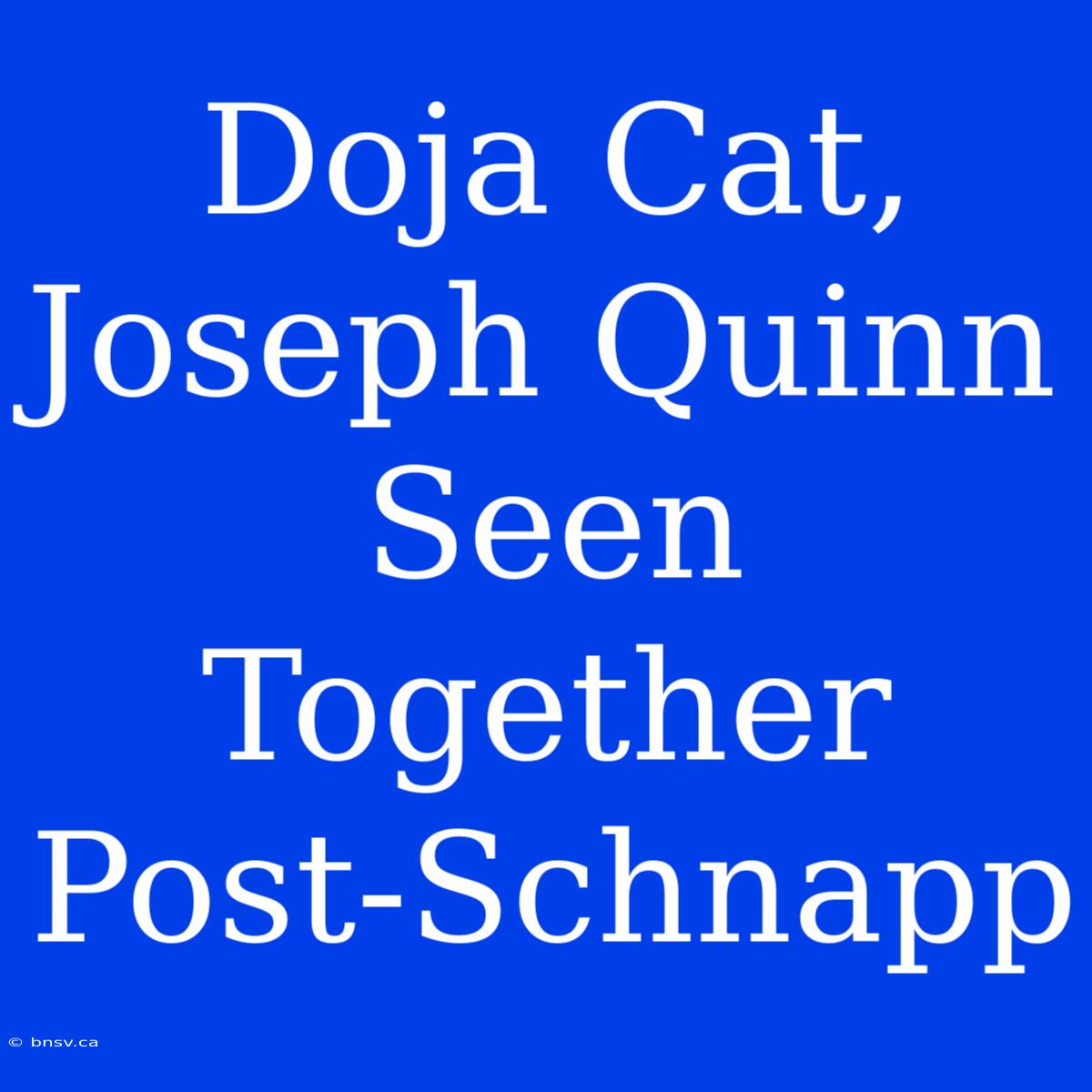 Doja Cat, Joseph Quinn Seen Together Post-Schnapp