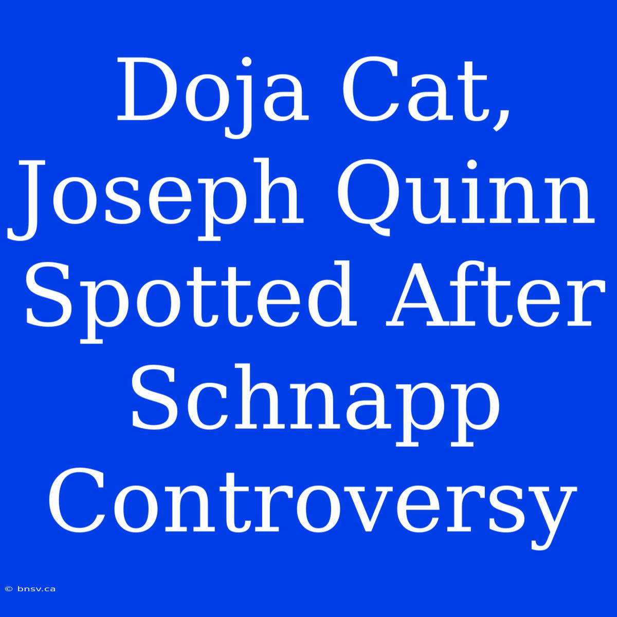 Doja Cat, Joseph Quinn Spotted After Schnapp Controversy