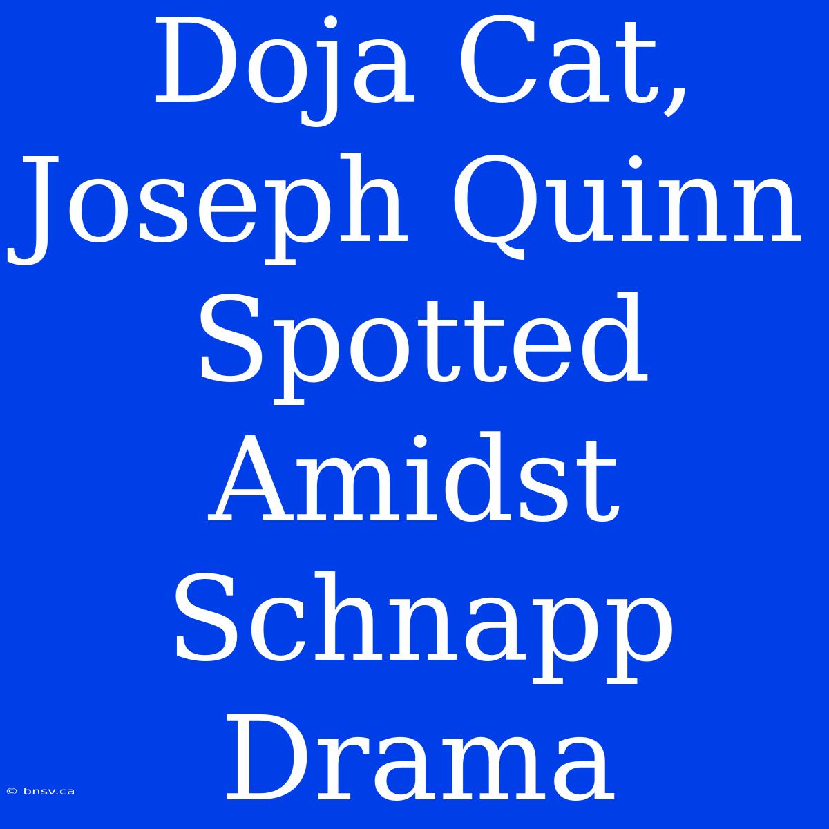 Doja Cat, Joseph Quinn Spotted Amidst Schnapp Drama