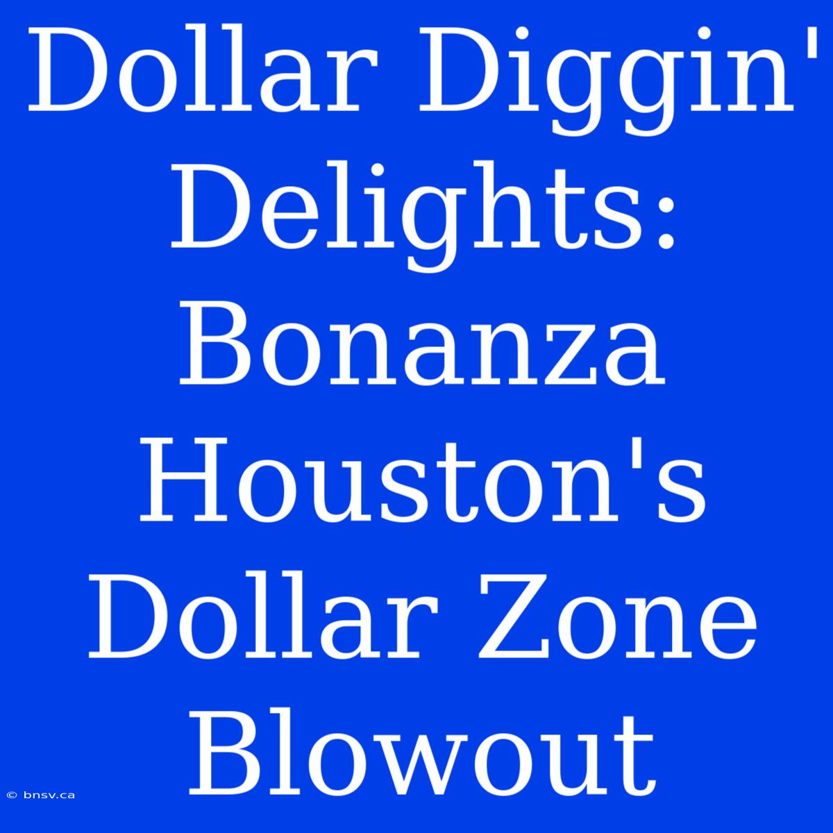 Dollar Diggin' Delights: Bonanza Houston's Dollar Zone Blowout