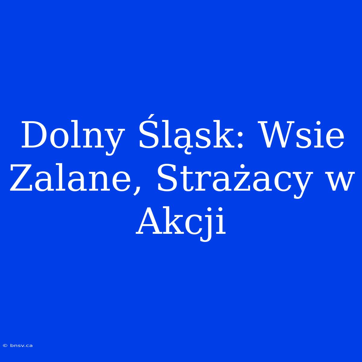 Dolny Śląsk: Wsie Zalane, Strażacy W Akcji