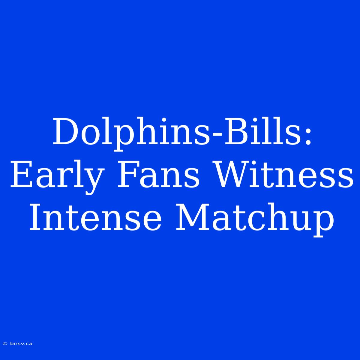 Dolphins-Bills: Early Fans Witness Intense Matchup