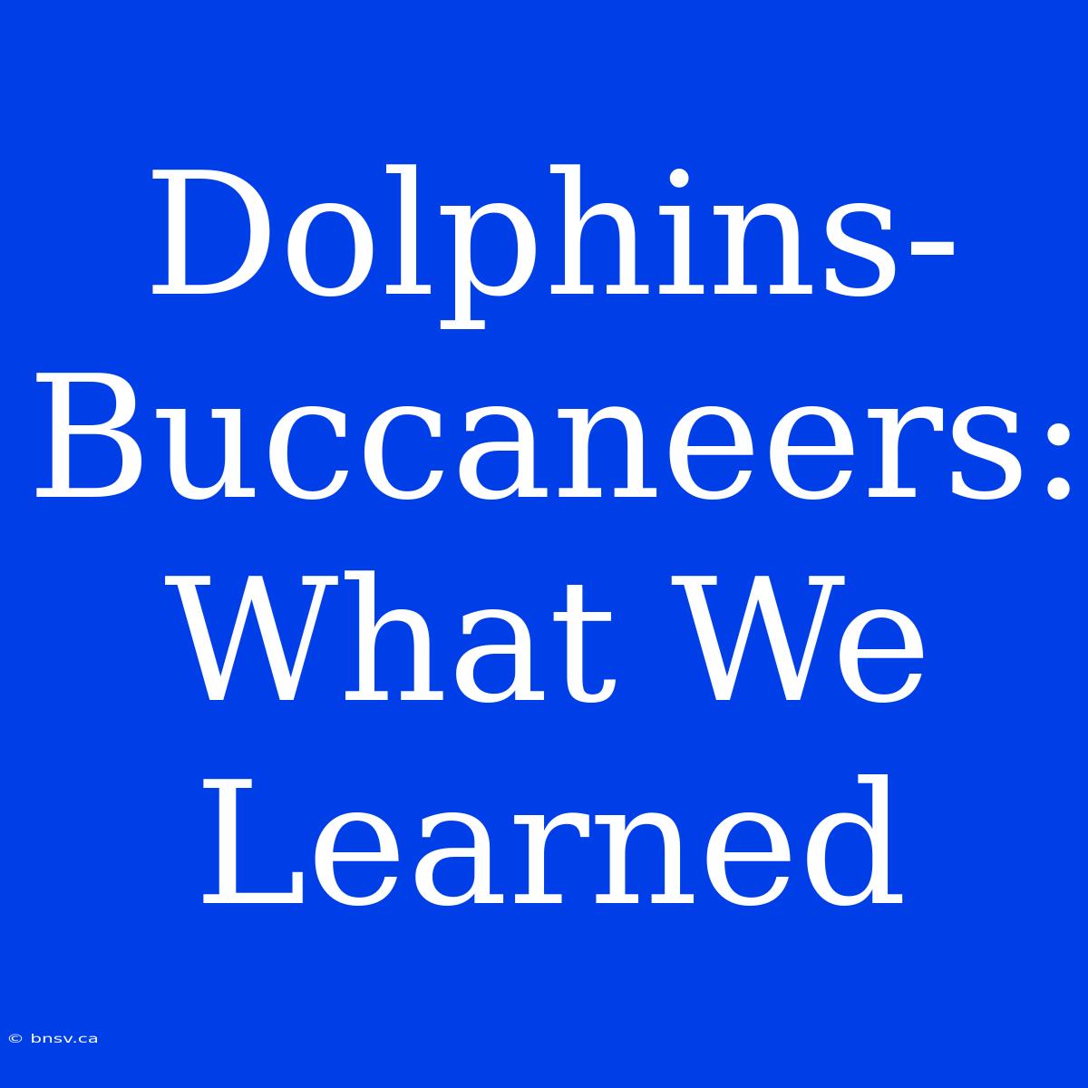 Dolphins-Buccaneers: What We Learned