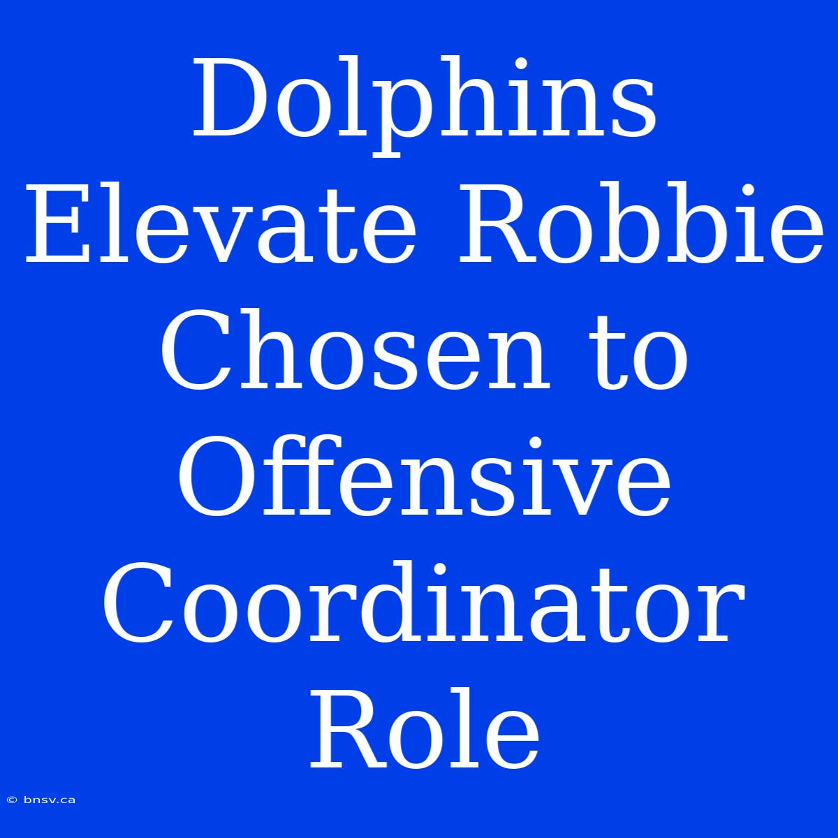 Dolphins Elevate Robbie Chosen To Offensive Coordinator Role