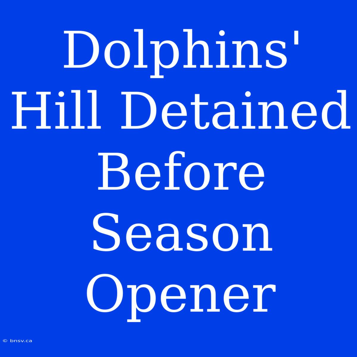 Dolphins' Hill Detained Before Season Opener