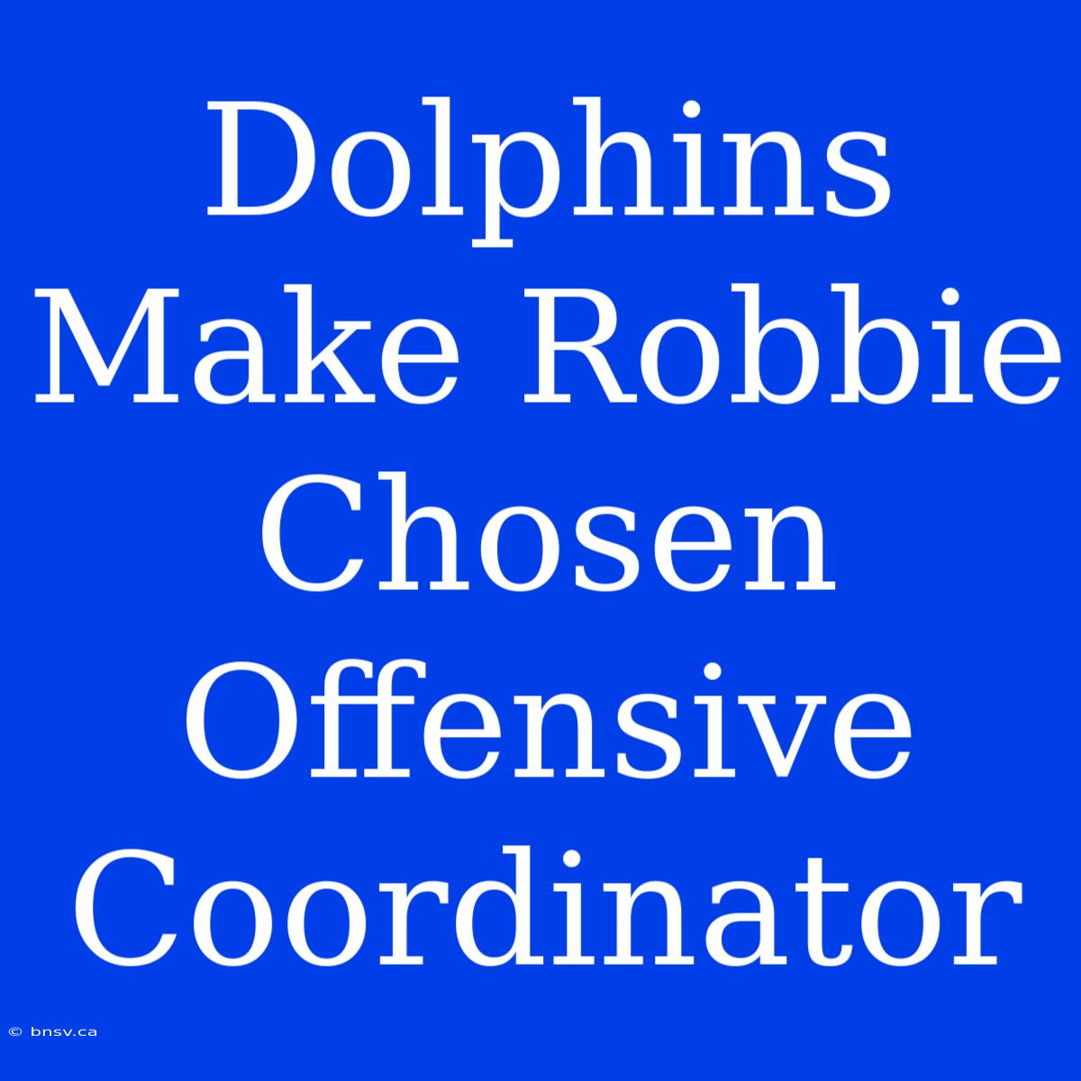 Dolphins Make Robbie Chosen Offensive Coordinator