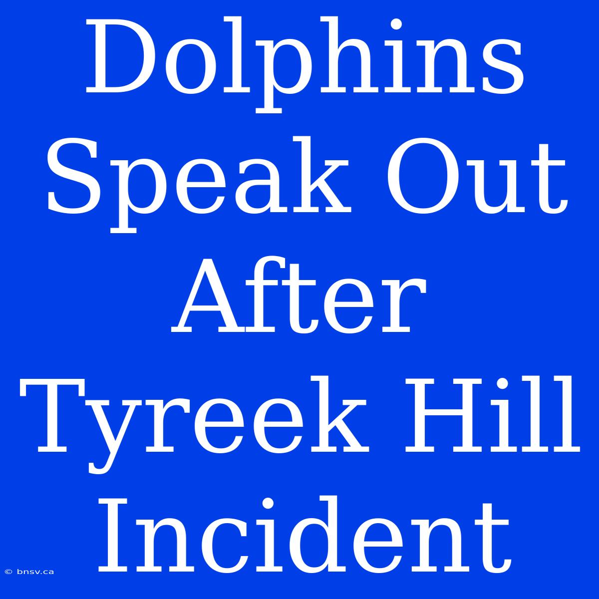 Dolphins Speak Out After Tyreek Hill Incident