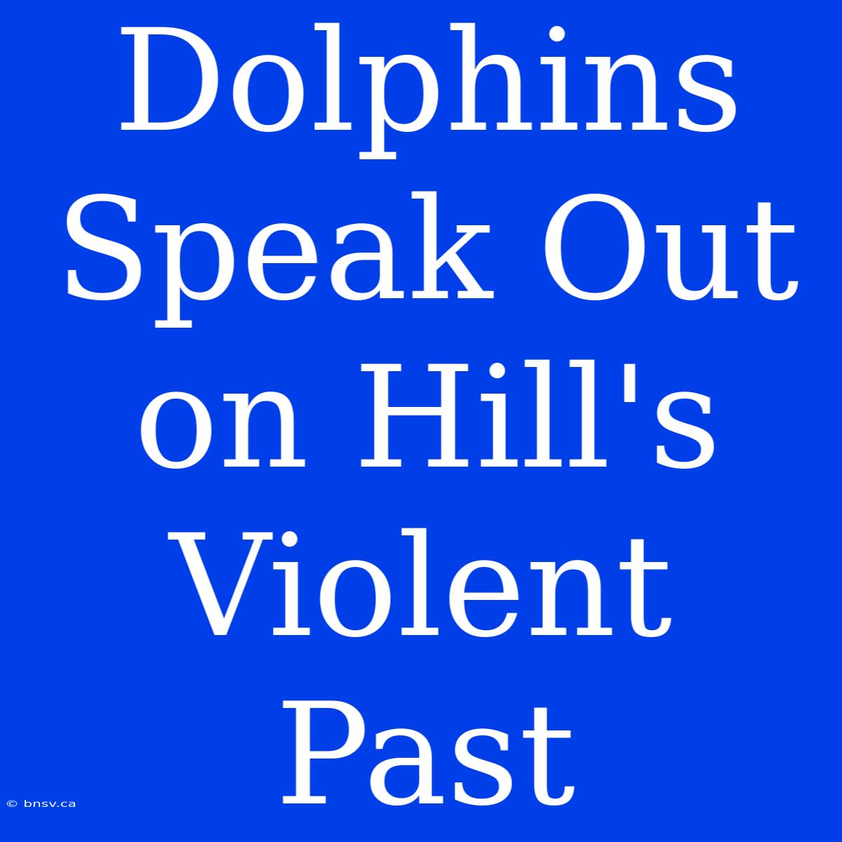 Dolphins Speak Out On Hill's Violent Past