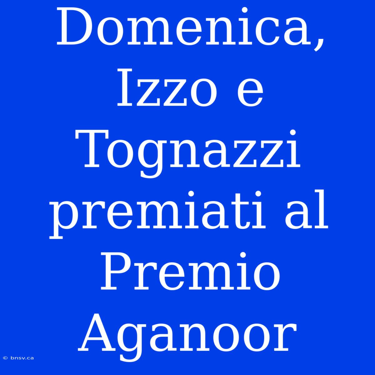 Domenica, Izzo E Tognazzi Premiati Al Premio Aganoor