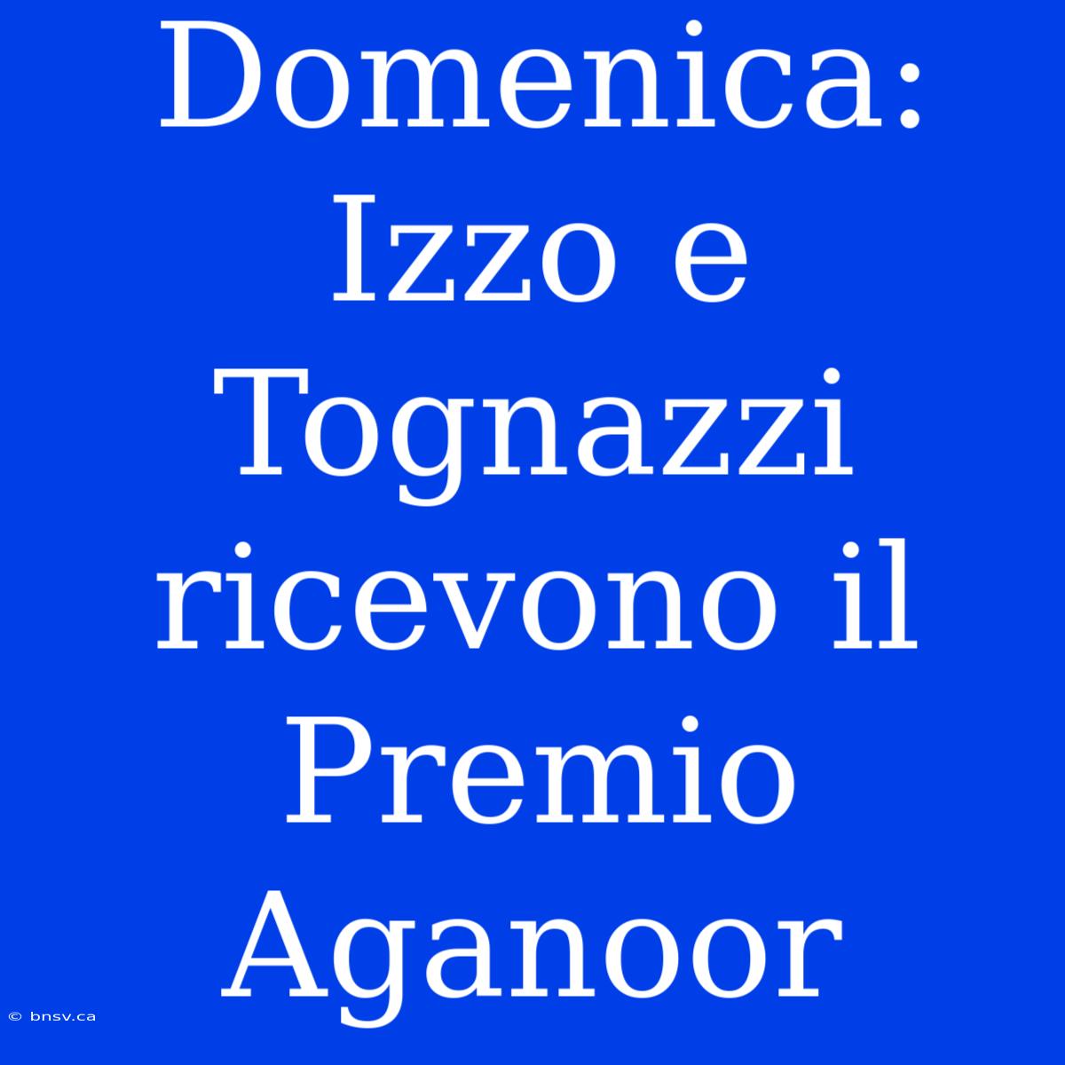 Domenica: Izzo E Tognazzi Ricevono Il Premio Aganoor