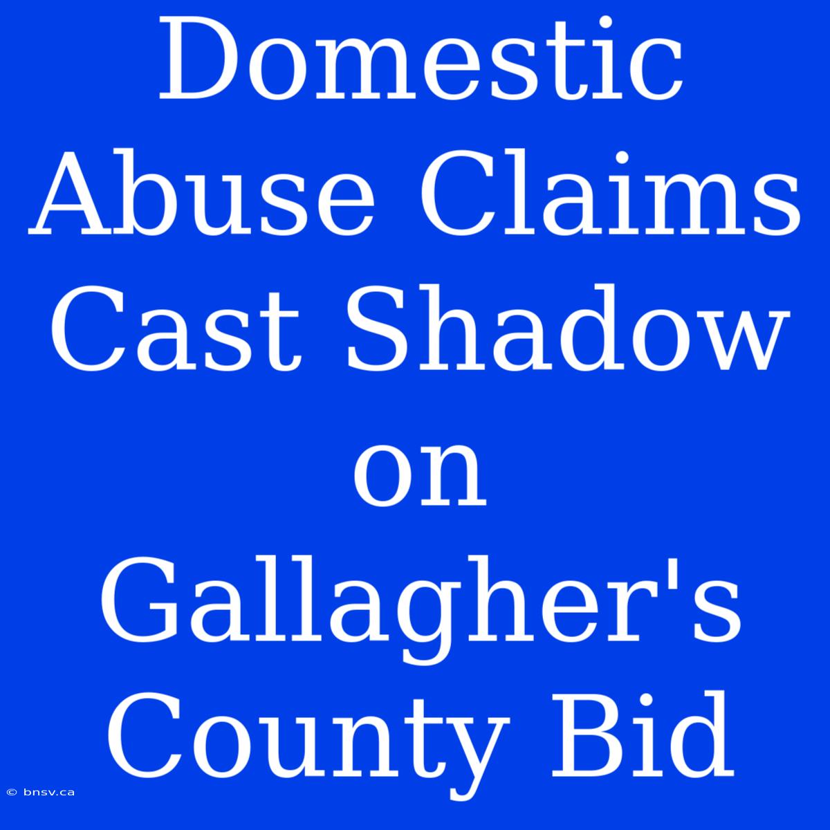 Domestic Abuse Claims Cast Shadow On Gallagher's County Bid