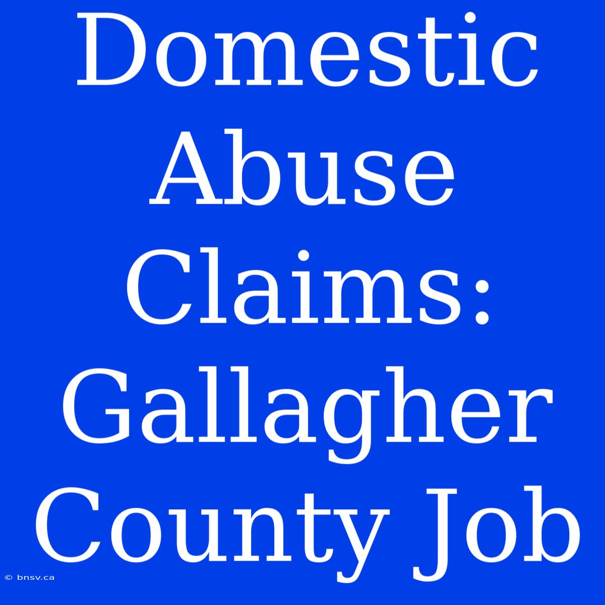 Domestic Abuse Claims: Gallagher County Job