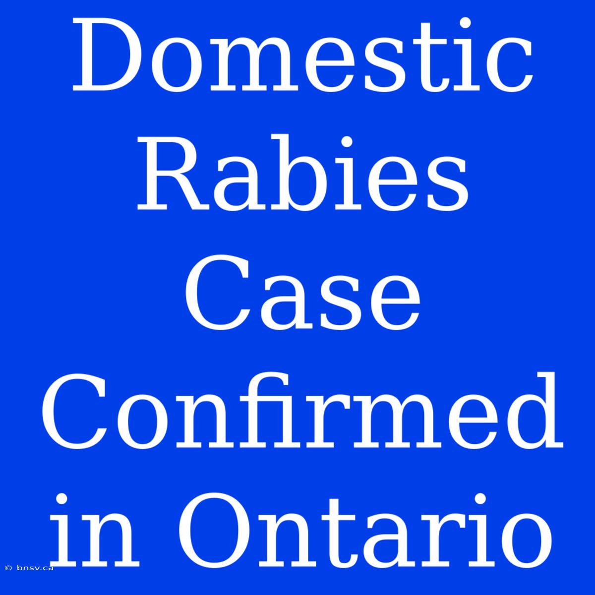 Domestic Rabies Case Confirmed In Ontario