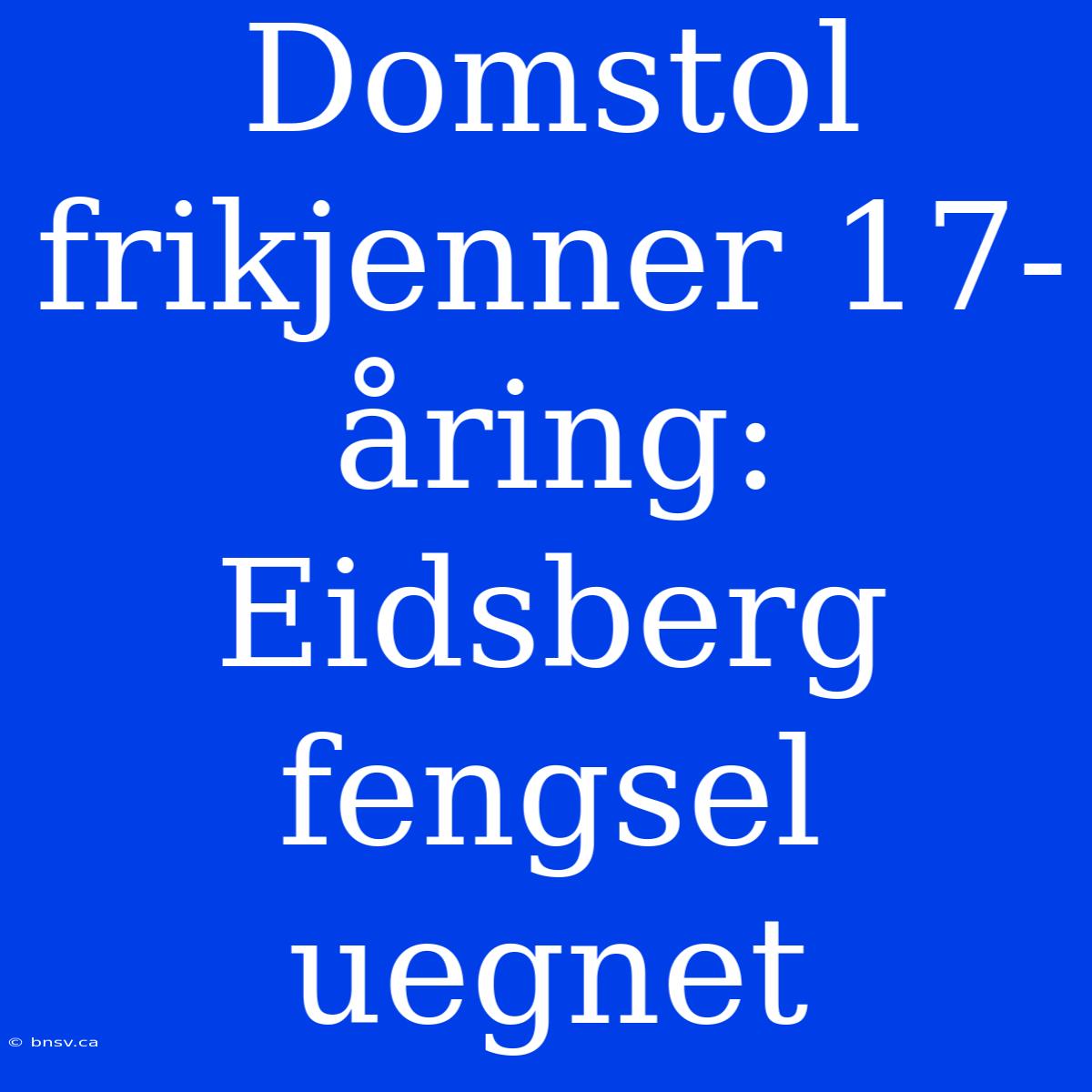 Domstol Frikjenner 17-åring: Eidsberg Fengsel Uegnet