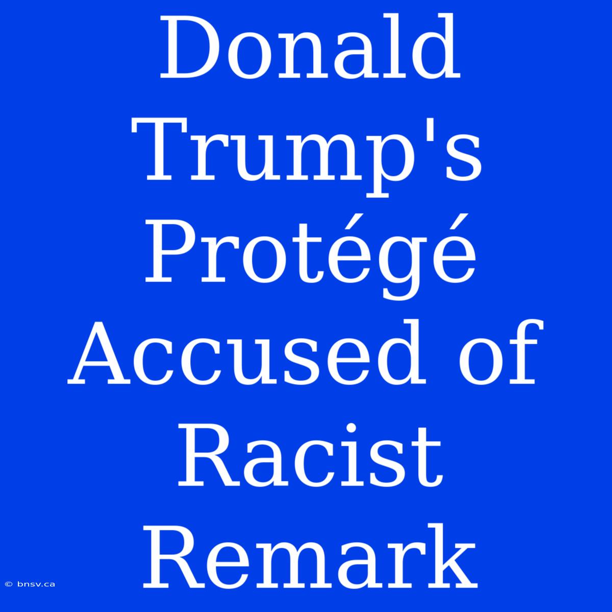 Donald Trump's Protégé Accused Of Racist Remark